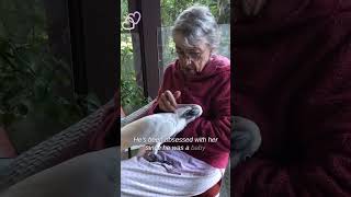 Grandma is cockatoo girlfriend [upl. by Amlus]