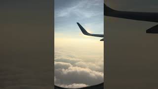 Fly in the Sky 🌌 flytravel clouds trending shortvideo youtube viralvideo shorts sky like [upl. by Anatol]