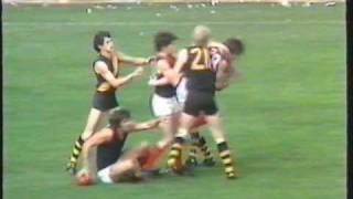 1975 Grand final Glenelg v Norwood entire match [upl. by Rosol]