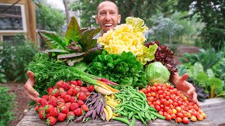 Unbelievable Backyard Garden Harvest This is What I Harvested Today [upl. by Eniamor284]