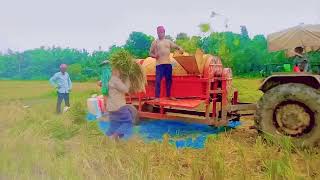 Amazing Thresher Machine Paddy Threshing in Record Time  Thresher machine [upl. by Pronty765]