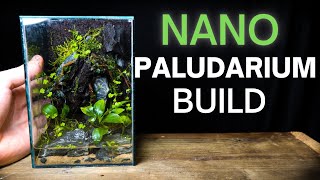 How To Make a Nano Paludarium Step By Step Tutorial [upl. by Icyaj356]