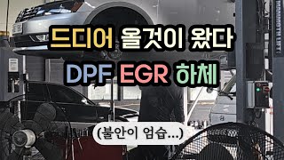 파사트 EGR DPF 경고등 안꺼지고 출력저하 발생 [upl. by Aicinet]