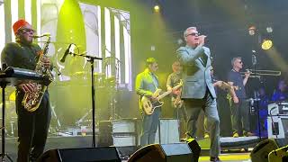 Madness  Night Boat to Cairo  Live  Sjock Festival 8 July 2022 [upl. by Herrmann]