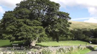 Yorkshire  Dent Village Dales amp Beautiful British Countryside Relax With Nature [upl. by Ricca]