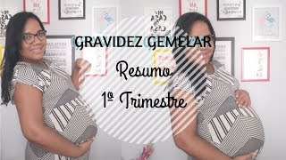 1° Trimestre GRAVIDEZ Gemelar  Medos e ansiedade [upl. by Woodcock104]