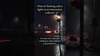 What do Flashing Yellow Lights 🚦 at an Intersection Indicate [upl. by Ashwell]