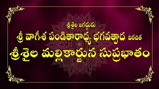 Srisaila Mallikarjuna Suprabhatam  జగద్గురు శ్రీ వాగీశ పండితారాధ్య భగవత్పాద కృత శ్రీశైల సుప్రభాతం [upl. by Dyane]