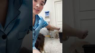 Dog Whod Never Been Touched By Humans Starts To Trust Foster Mom  The Dodo [upl. by Nezah]