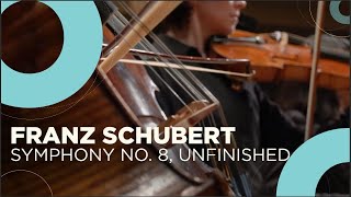 The first Romantic symphony Franz Schubert  Symphony No 8 Unfinished [upl. by Zealand]