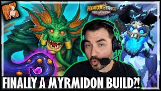 MYRMIDON STACKER RULES  Hearthstone Battlegrounds [upl. by Ahseetal]