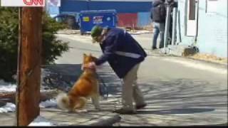 HACHI A DOGS TALE 2009  Official Movie Trailer [upl. by Loftis]