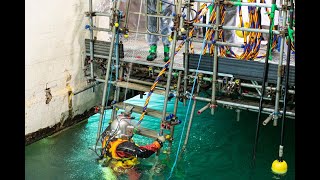 The Pile Fuel Storage Pond divers  Sellafield Ltd [upl. by Arihat306]