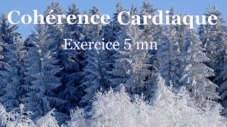 coherence cardiaque exercices 5 mn 6 respirationsmn [upl. by Esimorp]