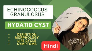 Hydatid Cyst  Echinococcus Granulosus  Pathogenesis Symptoms Investigation  Hindi [upl. by Bidle]