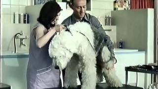 HypoVereinsbank Werbung 2001 Hundesalon [upl. by Norek644]