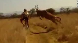 Survival of the fittest Antelope vs Cyclist edition [upl. by Yuh583]