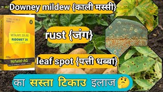 Metalaxyl 35 WS  Downey mildew  leaf spot  rust  का सस्ता टिकाउ ईलाज 👍👍🪄 [upl. by Gayler420]