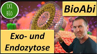 15 Punkte im Abi ExozytoseEndocytose  Transport über Vesikel  Operatoren BewertenBeurteilen [upl. by Koa515]