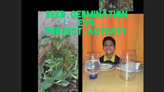 SEED GERMINATIONEVS PROJECT ACTIVITY [upl. by Acimahs963]