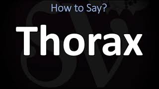 How to Pronounce Thorax CORRECTLY [upl. by Laeira]