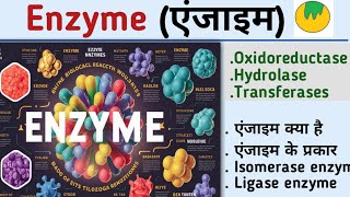 EnzymeएंजाइमEnzyme biochemistryenzyme in hindiOxidoreductaseHydrolasetransferaseKiran maurya [upl. by Ayo]