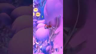 Finding Dory  Marine Life Institute RUSH A Disney • PIXAR Adventure [upl. by Yemac]