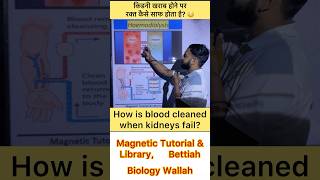 Hemodialysis Class 10  How is blood cleaned after kidney failure  biology shorts viralvideo [upl. by Marley]