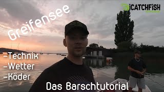 Greifensee  In der Sommerhitze Barsche fangen WIE iCatchFish Perch Barsch tutorial [upl. by Iveksarap]