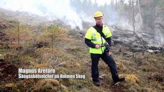 Skogsbrand för bättre naturvård [upl. by Ynna]