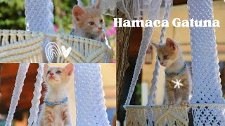 ✅HAMACA BOHEMIA para GATOS en MACRAMÉ 🙀 DIY Paso a Paso [upl. by Anders]