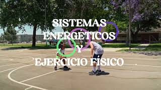 SISTEMA ENERGÉTICO Y EJERCICIO FÍSICO [upl. by Maurreen]