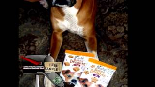 Free Sample Beneful Baked Delights Dog Treats [upl. by Eeuqram872]