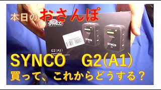 SYNCO G2A1開封と、骨伝導補聴器への道・本日のおっさんぽ [upl. by Tani]