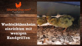 Wachtelkükenheim mit wenigen Handgriffen richtig einrichten  WachtelShopcom [upl. by Kotick149]