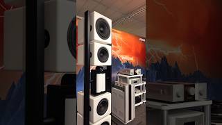 Live audio with the 125k a pair Audionec EVO 3 speakers on Octave power [upl. by Aziaf]