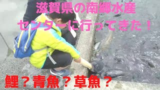 【滋賀県のパラダイス？】南郷水産センターに行ってきた！ [upl. by Epperson]