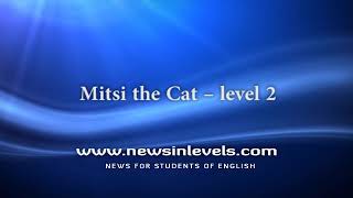 Mitsi the Cat – level 2 [upl. by Devondra]