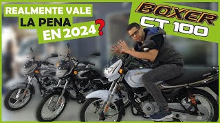 Boxer CT 100  VALE LA PENA EN 2024  Análisis completo [upl. by Ennaillij]