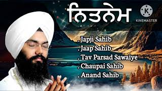 Nitnem Sahib full path  Bhai Manpreet Singh Kanpuri kirtan singh gurbanikirtan gurbani music [upl. by Larentia]