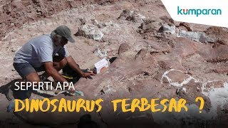 Seperti Apa Dinosaurus Terbesar [upl. by Ardeid]