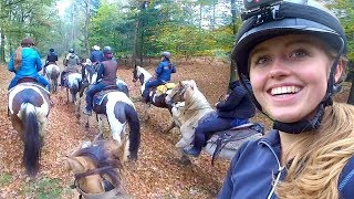 In westernstijl galopperen over de Veluwe met Paarden YouTubers  Vlog 71 [upl. by Htebazil418]