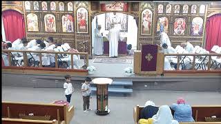 3rd Sunday of Thoout  Divine Liturgy St Luke ACOC Live Stream [upl. by Oirevas]