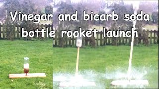 Vinegar and baking soda bottle rocket launch [upl. by Ricarda]