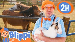 Blippi Meets a Fellow GOAT 🐐  Blippi  Preschool Learning  Moonbug Tiny TV [upl. by Ilyssa691]