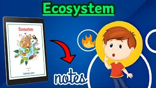 Ecosystem Class 12th Biology chapter 14 Best NOTES  Edustudypoint [upl. by Libenson]