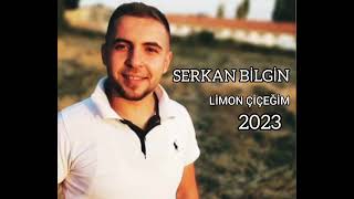 Serkan Bilgin  Limon Çiçeğim 2023 [upl. by Nima]