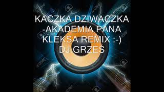 KACZKA DZIWACZKA  AKADEMI A PANA KLEKSA REMIX  DJGRZEŚ [upl. by Waddell973]