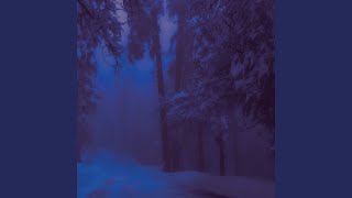 Winter Fairy Tale Slowed [upl. by Adnilim987]