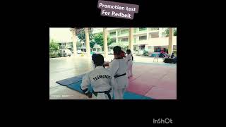 Promotion test 2024 for redbelt [upl. by Azmah683]